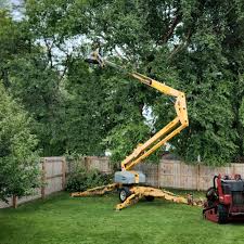 How Our Tree Care Process Works  in  Chardon, OH